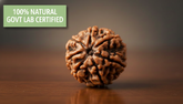 5 Mukhi Nepali Rudraksha - Paanch Mukhi