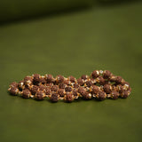 18K Gold Plated 5 Mukhi Rudraksha Mala
