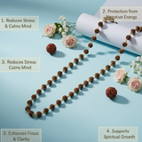 18K Gold Plated 5 Mukhi Rudraksha Mala